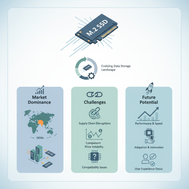 China Top OEM M2 SSD Hard Drive Supplier Overview and Market Insights?