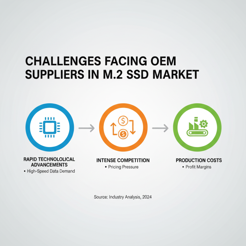 China Top OEM M2 SSD Hard Drive Supplier Overview and Market Insights?