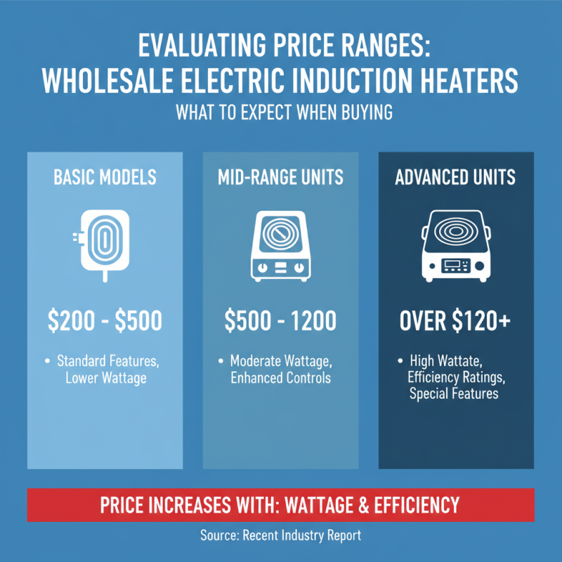 How to Choose Wholesale Cheap Electric Induction Heater for Your Needs?
