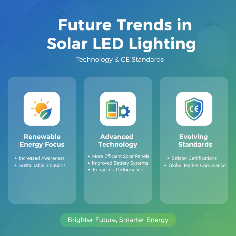 China Best CE Certification Custom Solar Led Light Company Guide?