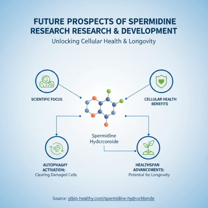 Discover the Benefits of Spermidine Trihydrochloride at Canton Fair?