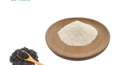 Black-Bean-Protein-Powder.jpg