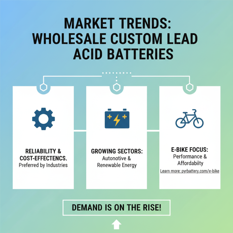 What is Wholesale Custom Lead Acid Replaces Lithium Batteries?