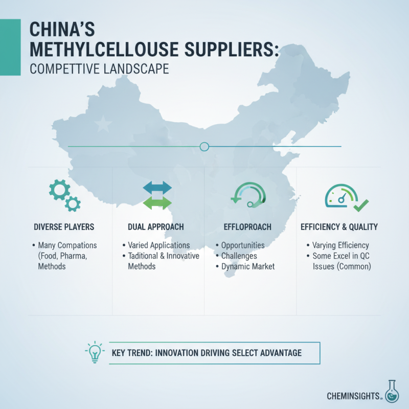 Methylcellulose Suspending Agent Insights at Chinese Trade Fair?