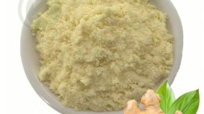 Ginger-Extract-Gingerol-Powder.jpg