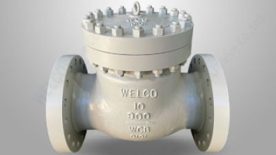 Cast steel swing check valve.jpg