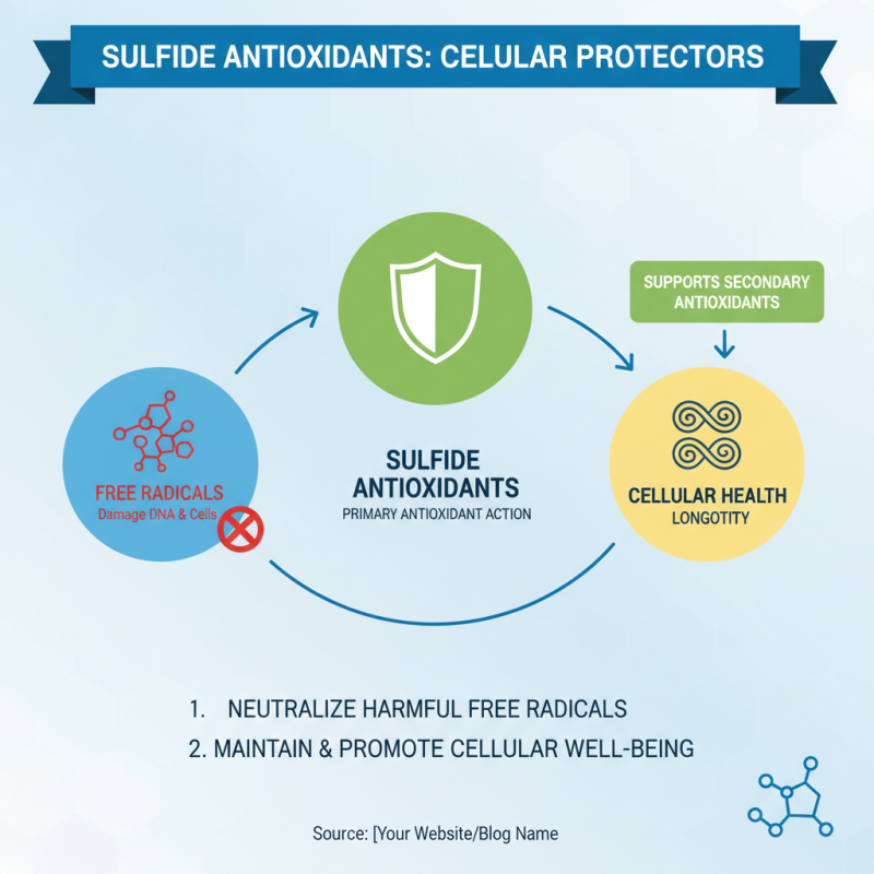 Why are Sulfide Antioxidants Essential for Health and Longevity?