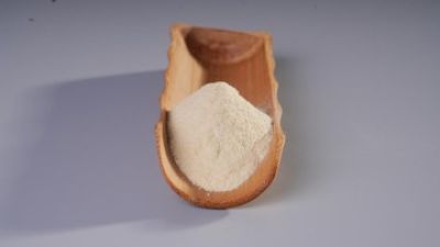 Bifidobacterium animalis subsp.lactis  (Postbiotics).jpg