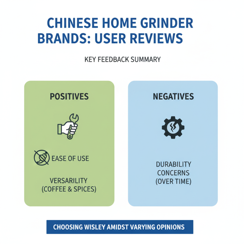 China Top OEM Wholesale Home Grinder Options for Your Kitchen Needs?