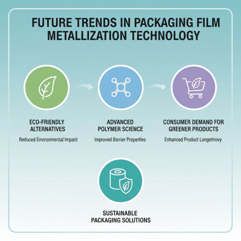 What is the Best Packaging Film Metallizer for Your Needs?