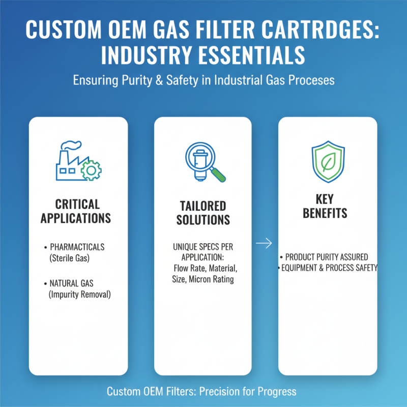 Essential Tips for Choosing the Right Custom OEM Gas Filter Cartridge Suppliers?
