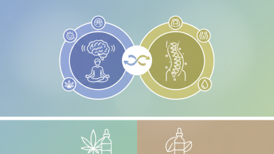 Best CBD Oil for Pain Relief and Anxiety 2026 Guide?