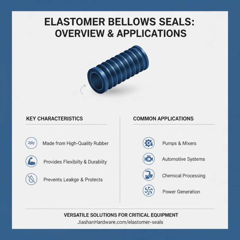 China Top High-Quality Elastomer Bellows Seals Manufacturer Insights?