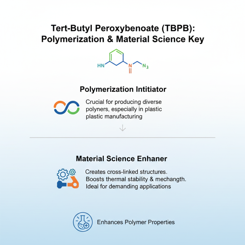 What is Tert-Butyl Peroxybenzoate 98% and Its Uses?