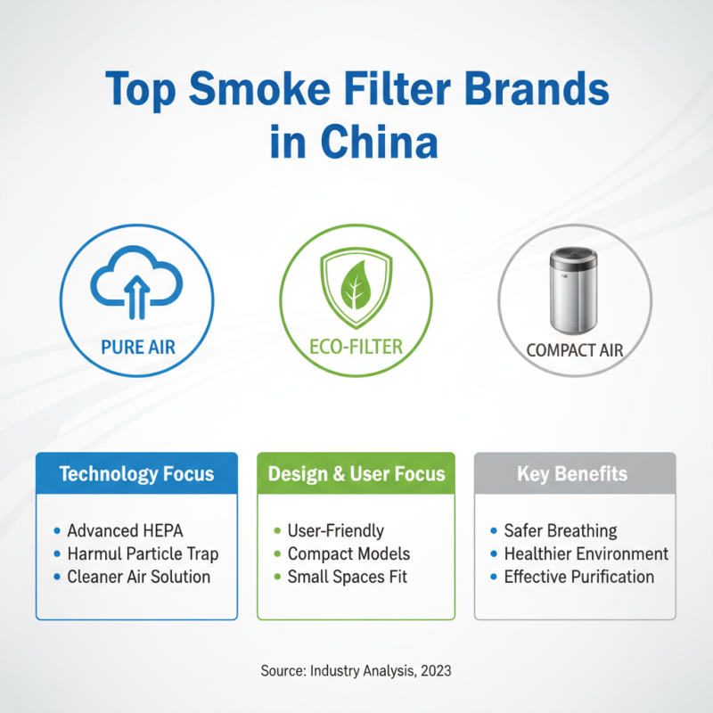 Discover the Best China Buy Smoke Filter Options for Clean Air Solutions?
