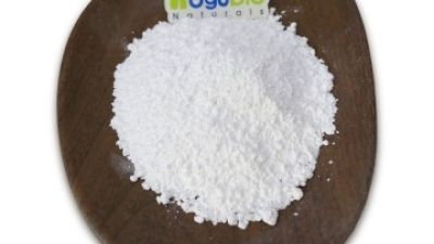 giga-powder-(6).jpg