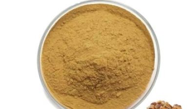 Agaricus Blazei Powder 1.jpg