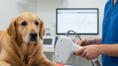 Top 10 Vet Laser Treatment Equipment for Effective Healing?