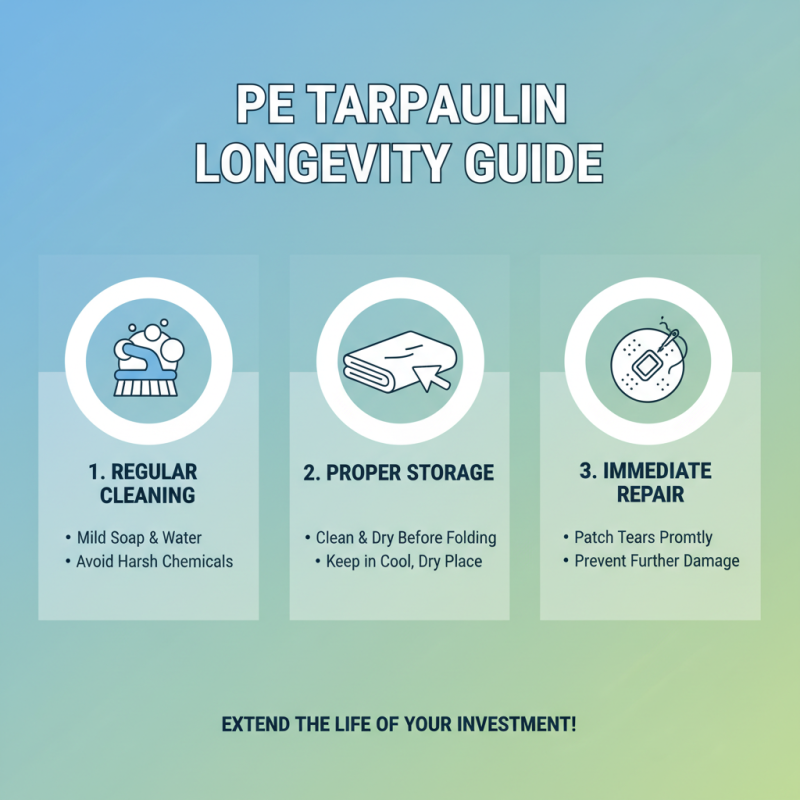 Best Pe Tarpaulin Roll for Superior Protection and Durability?