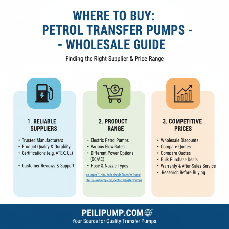 Top 10 Best Wholesale Petrol Transfer Pump Products for Your Needs