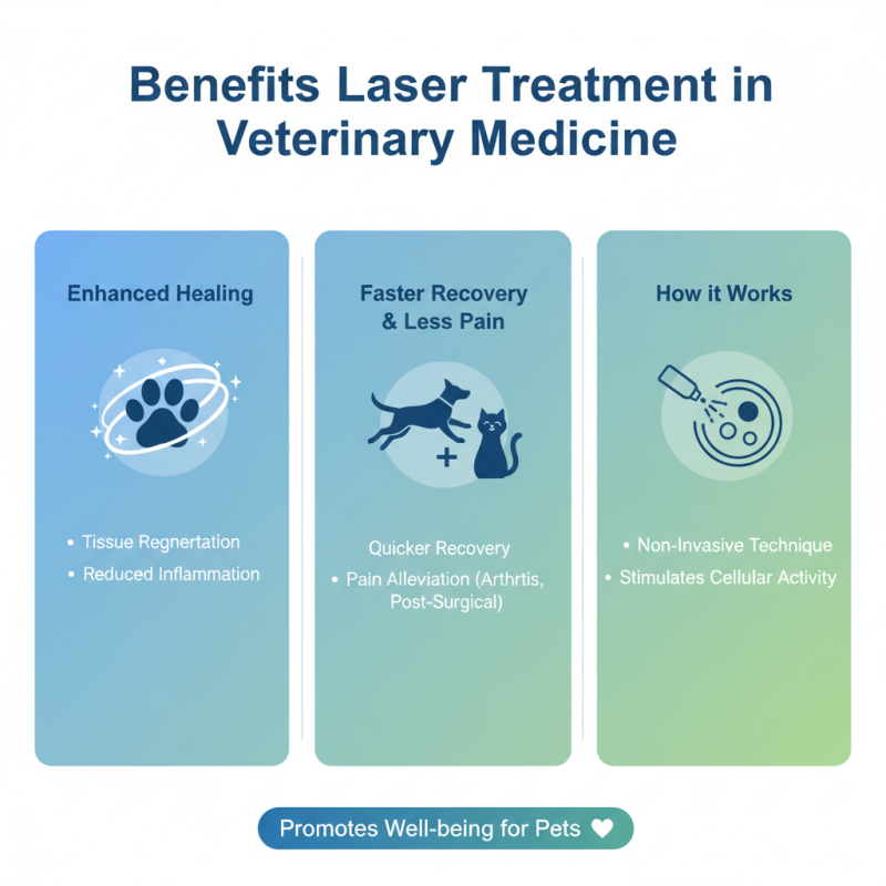 Top 10 Vet Laser Treatment Equipment for Effective Healing?