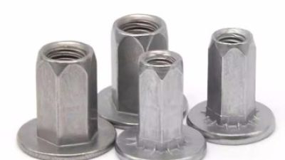 Our Products05.jpg