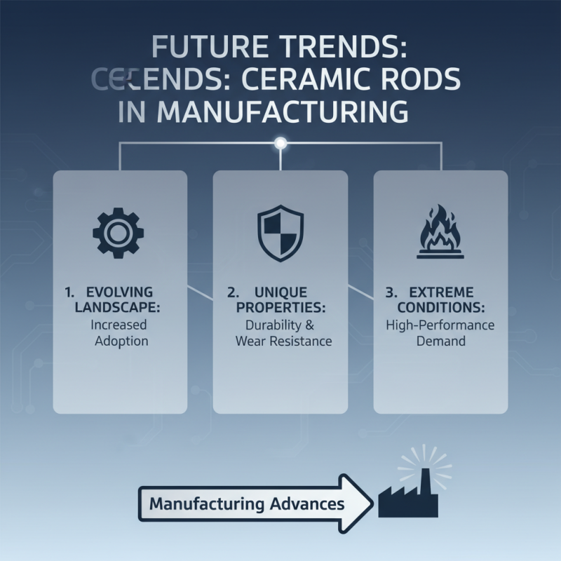 Why Choose Ceramic Rods for Your Manufacturing Needs?