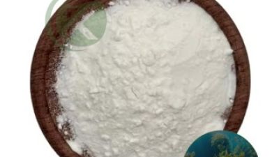 Seaweed Marine Plants Fucoidan Extract Powder01.jpg