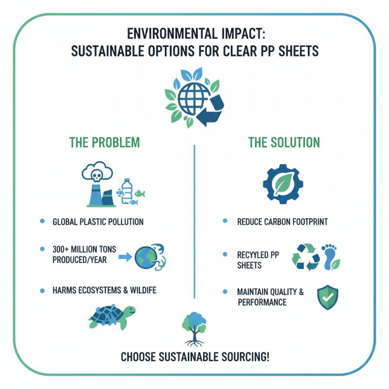 How to Choose the Best Clear Pp Sheet for Your Business Needs?
