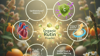 Top Benefits of Organic Rutin Powder for Global Buyers?