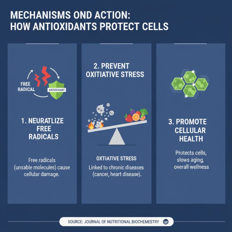 China Best Primary Antioxidants Overview and Benefits?
