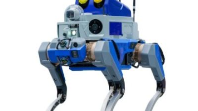 Robot Dog.jpg