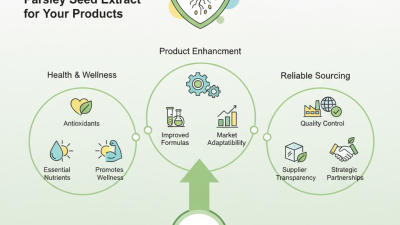 Top Benefits of OEM Customized Parsley Seed Extract for Your Products?