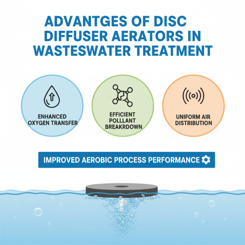 What is a Disc Diffuser Aerator and How Does It Work?