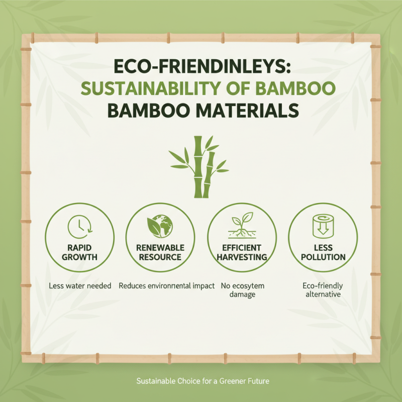 What is a Bamboo Body Pillow Case Benefits and Features?