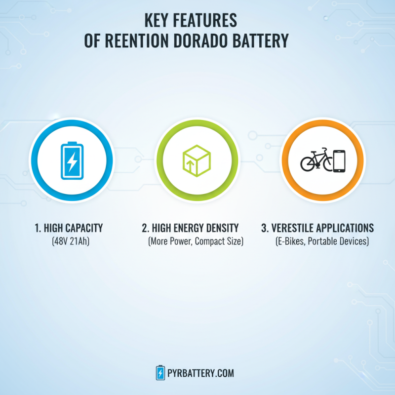 What is Reention Dorado Battery and Why It Matters?