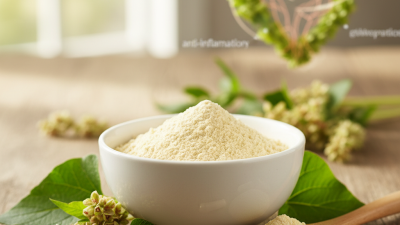 Top 10 Benefits of Rutin Powder for Your Health Needs?
