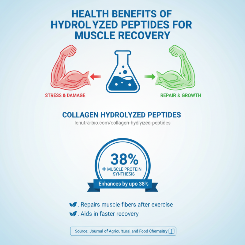 What is Hydrolyzed Peptides and How Do They Benefit You?