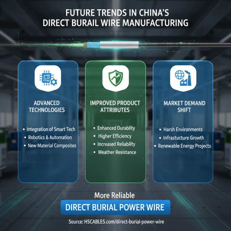 China Top Custom Best Direct Burial Wire Manufacturer Guide?