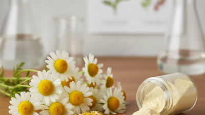 Top 10 Benefits of Apigenin Powder for Health and Wellness?