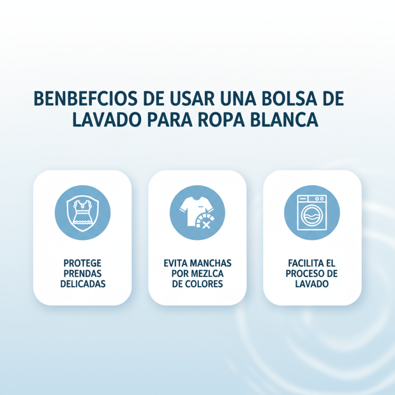 Las Mejores Ofertas de Bolsa De Lavado Blanca ¿Dónde Comprar?