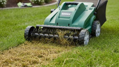Top 10 Electric Lawn Dethatchers for Efficient Lawn Care?