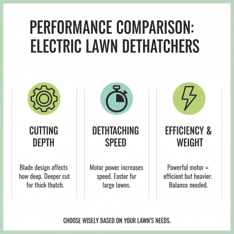 Top 10 Electric Lawn Dethatchers for Efficient Lawn Care?