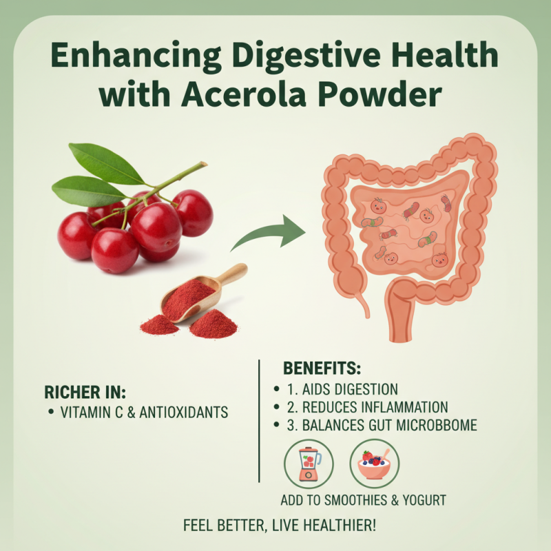 Top 10 Benefits of Acerola Powder for Health and Wellness?