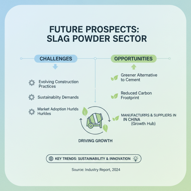 2026 Top Trends in Wholesale China Slag Powder Industry Insights?