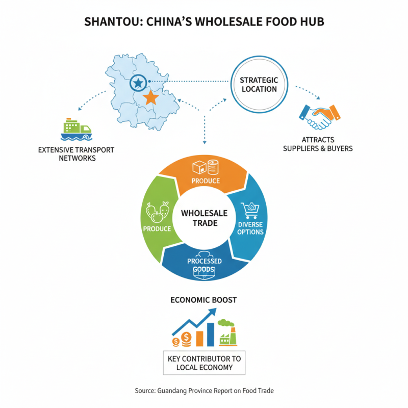 Discover the Top 10 High Quality Wholesale Shantou Food Options in China?