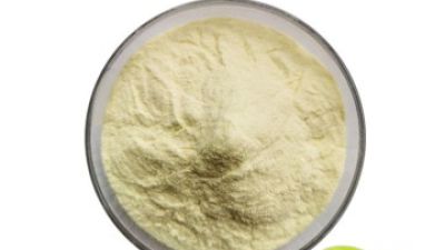Papain Powder 1.jpg
