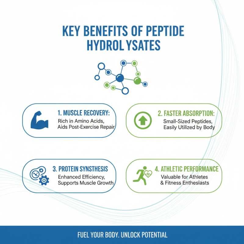 2026 How to Choose the Best Peptide Hydrolysate for Your Needs?