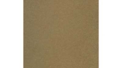 Indoor Champagne Gold Powder Coating.jpg