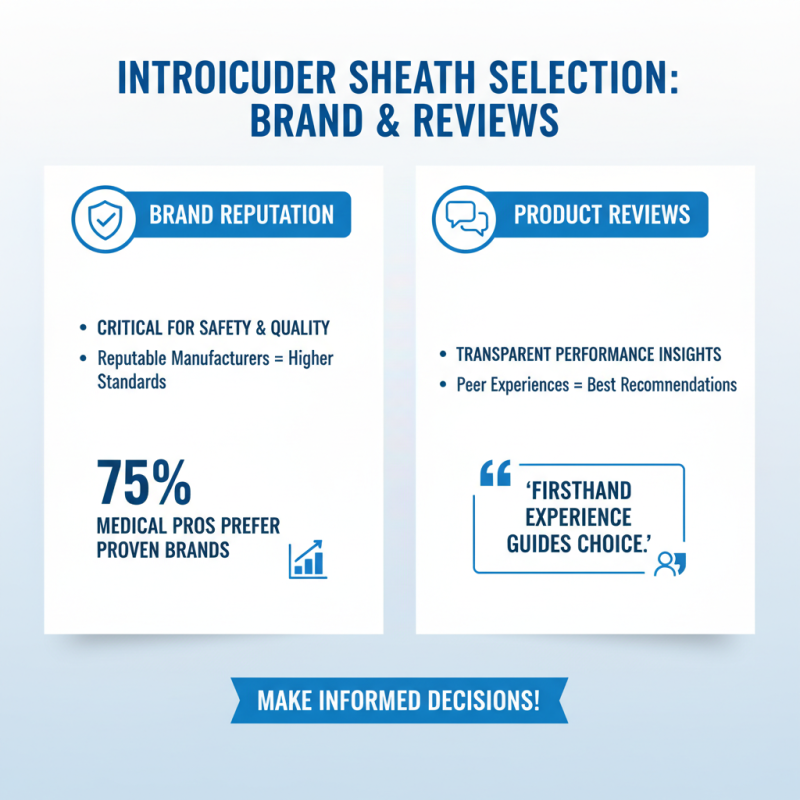Ultimate Tips for Choosing the Right Introducer Sheath?